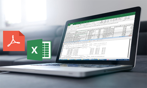 PDF to Excel Data Entry